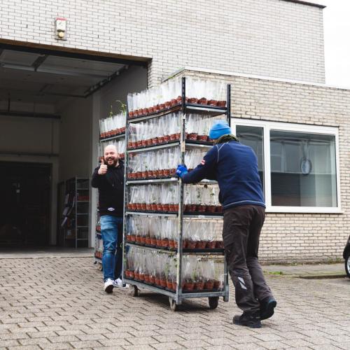 Hopplantje webshop 2021